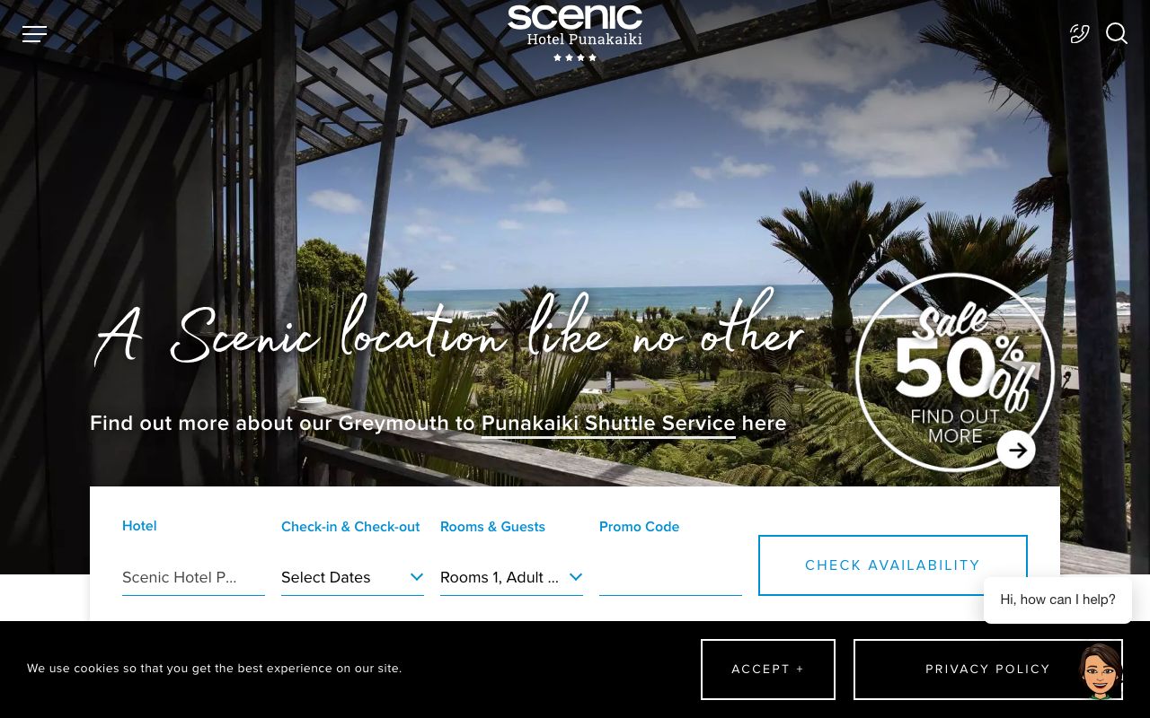 Preview of Scenic Hotel Punakaiki's website