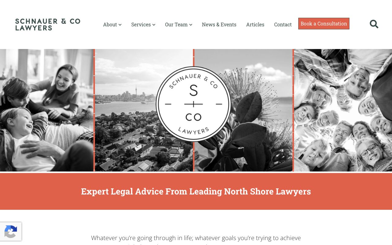 Preview of Schnauer & Co's website