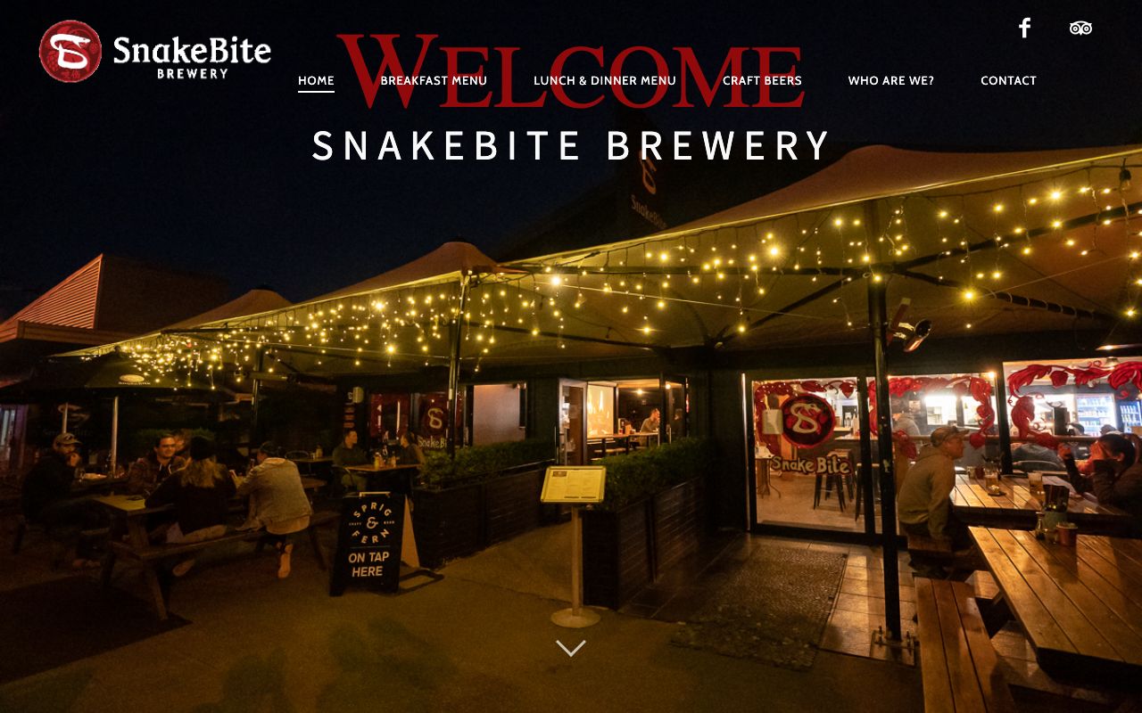 Preview of Snake Bite Brewery's website