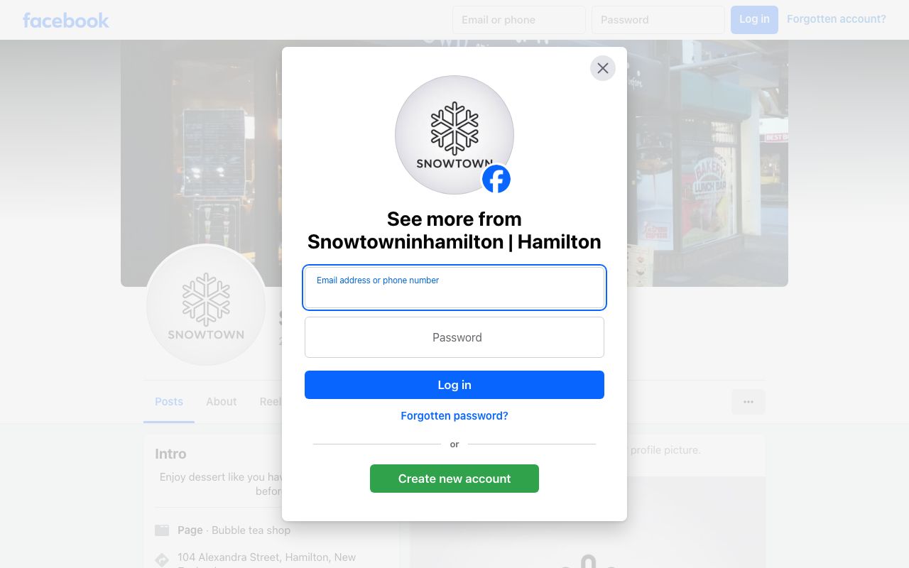 Preview of Snow Town's website