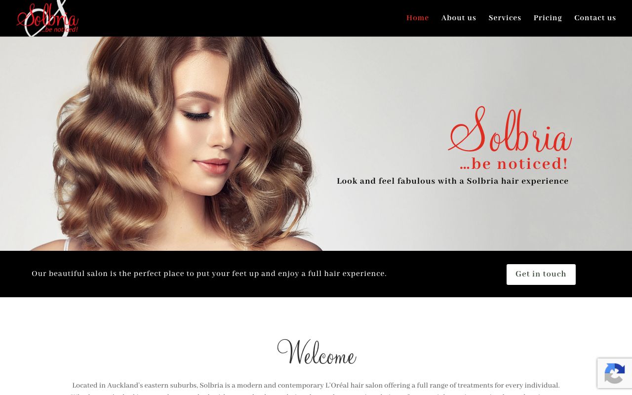 Preview of Solbria's website