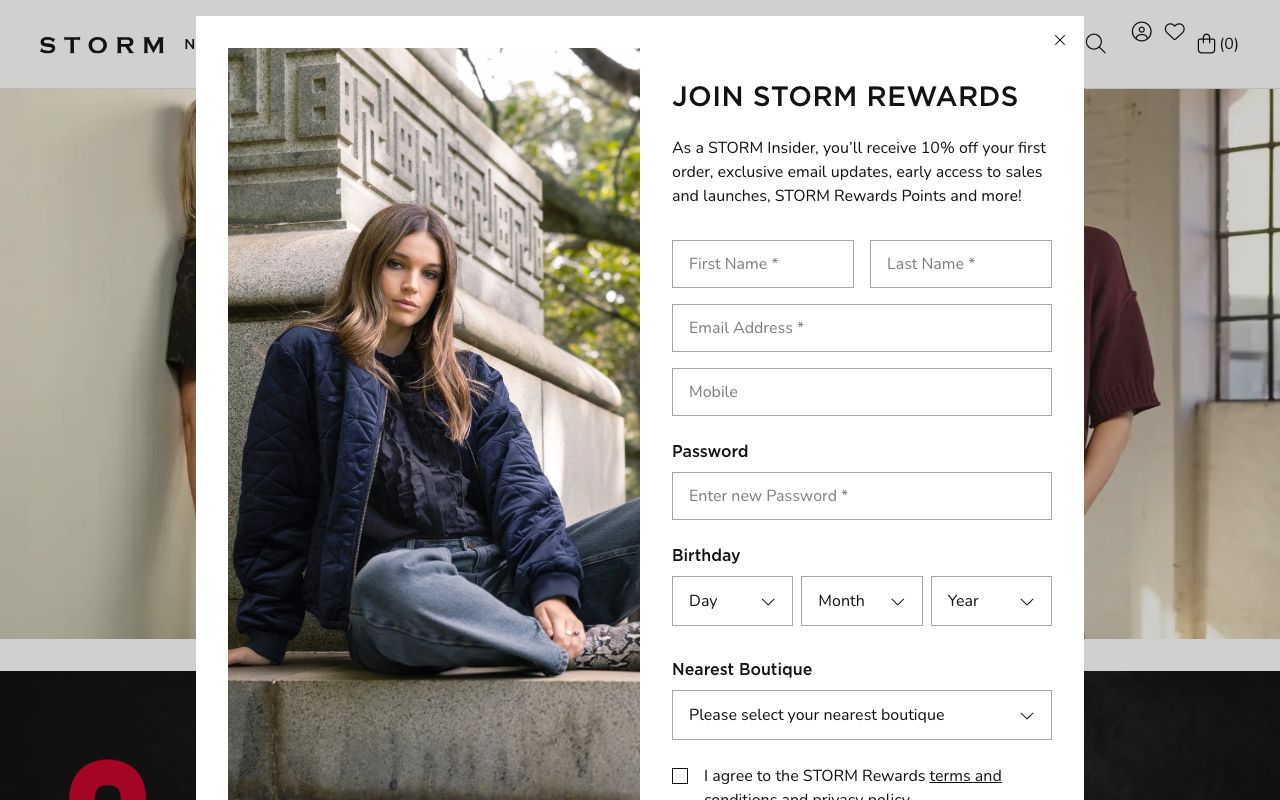 Preview of Storm's website
