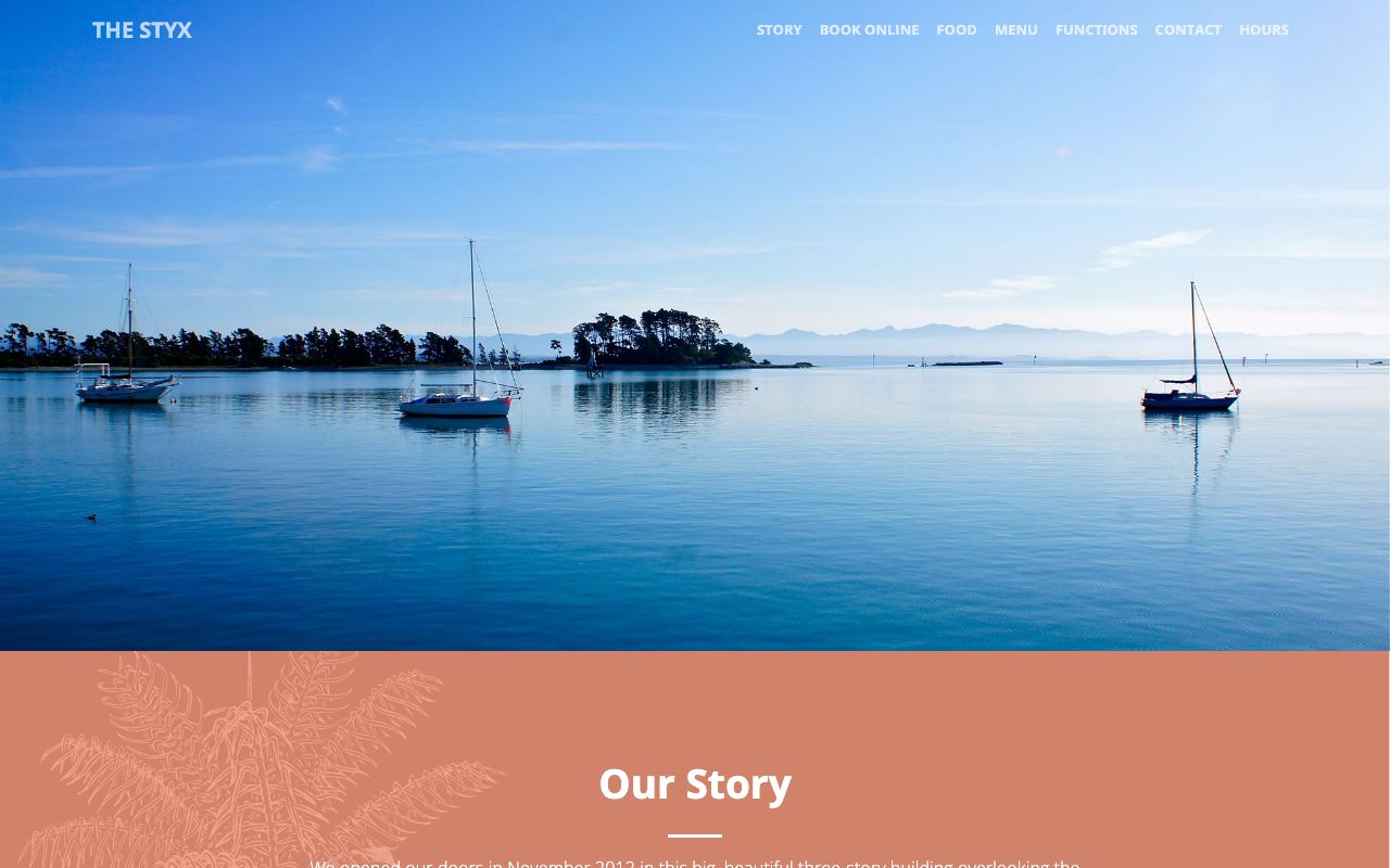 Preview of Styx's website