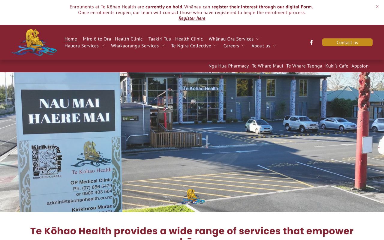 Preview of Te Kohao Health Ltd's website
