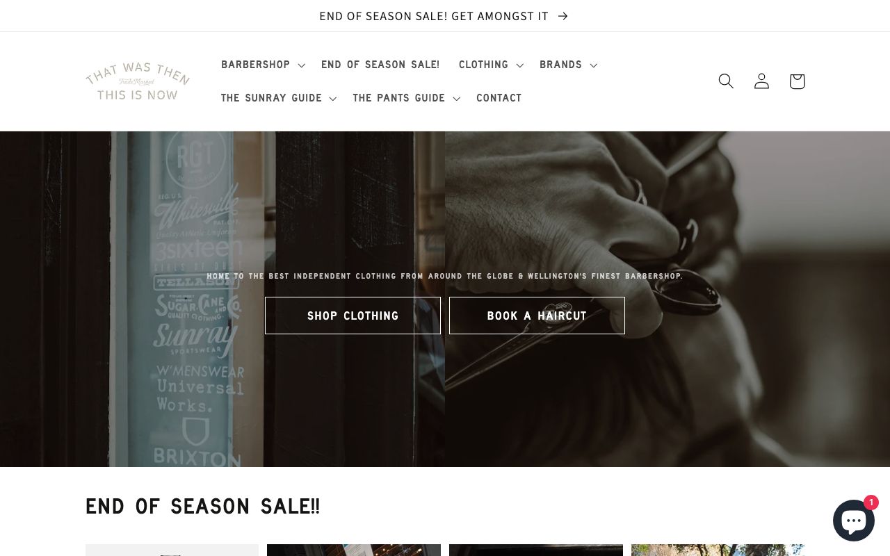 Preview of That Was Then, This Is Now's website
