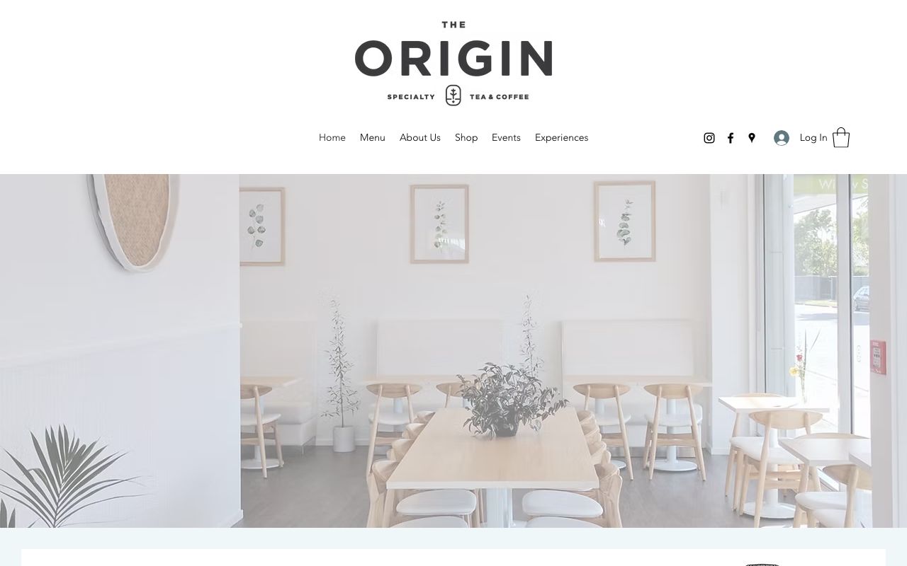 Preview of The Origin's website