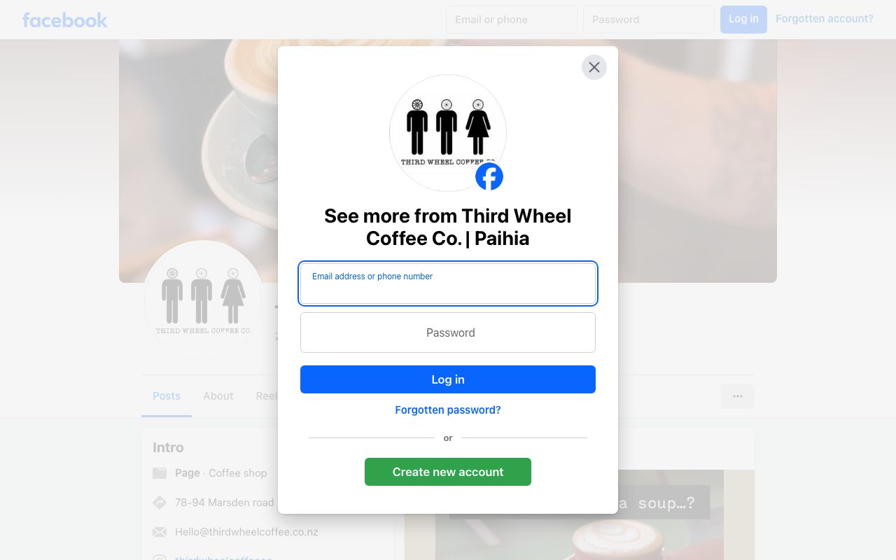 Preview of The Third Wheel's website