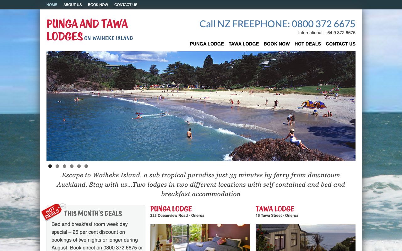 Preview of Waiheke Punga Lodge's website
