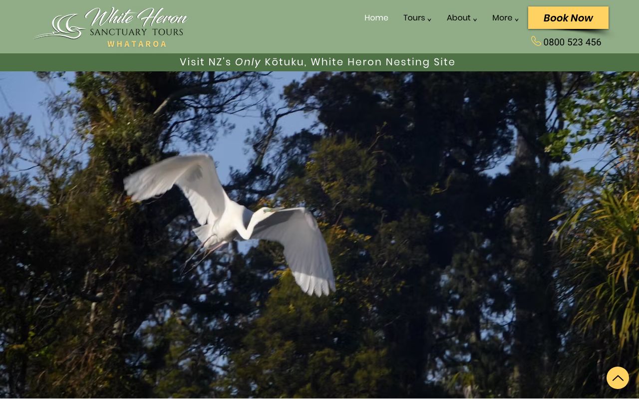 Preview of White Heron Colony's website