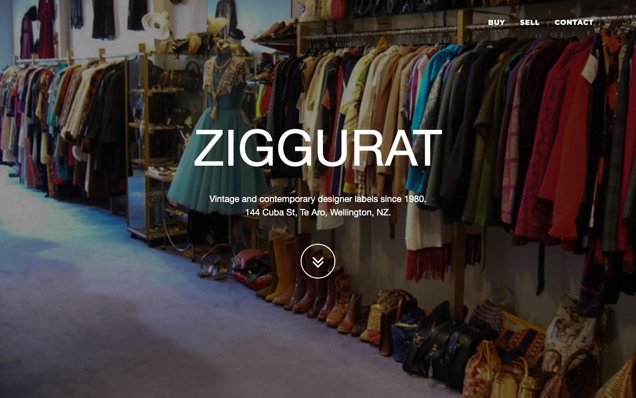 Preview of Ziggurat's website